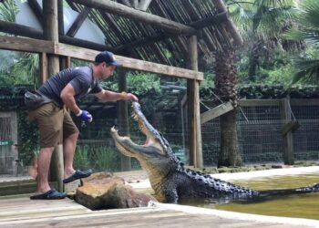 Conheça o incrível passeio de airboat em Orlando
