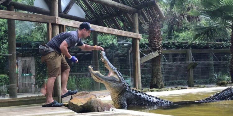 Conheça o incrível passeio de airboat em Orlando